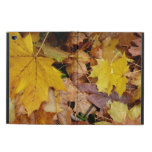 Fallen Maple Leaves Yellow Autumn Nature Powis iPad Air 2 Case