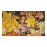 Fallen Maple Leaves Yellow Autumn Nature Rectangular Sticker