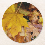 Fallen Maple Leaves Yellow Autumn Nature Round Paper Coaster