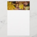 Fallen Maple Leaves Yellow Autumn Nature Stationery