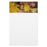 Fallen Maple Leaves Yellow Autumn Nature Stationery