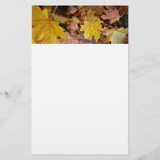 Fallen Maple Leaves Yellow Autumn Nature Stationery (Front)