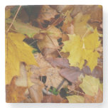 Fallen Maple Leaves Yellow Autumn Nature Stone Coaster