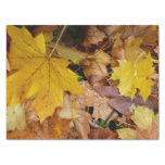 Fallen Maple Leaves Yellow Autumn Nature Tissue Paper
