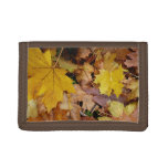 Fallen Maple Leaves Yellow Autumn Nature Trifold Wallet