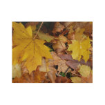 Fallen Maple Leaves Yellow Autumn Nature Wood Poster