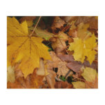 Fallen Maple Leaves Yellow Autumn Nature Wood Wall Decor
