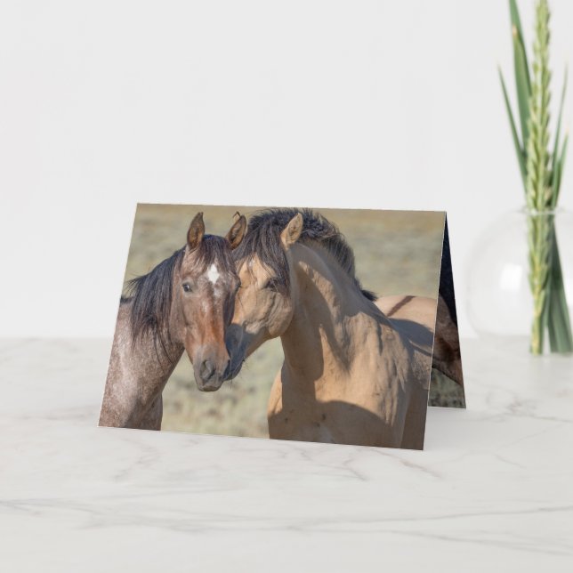 Fallen Star and His Mare Wild Horse Greeting Card (Front)