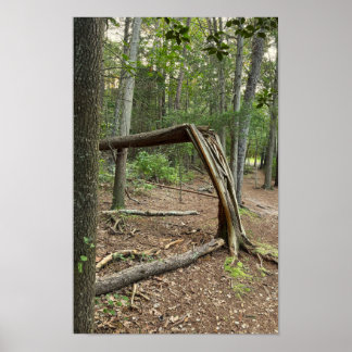 Fallen Tree in Park Poster