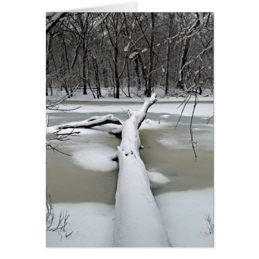 Fallen Tree in Winter Card (Front)