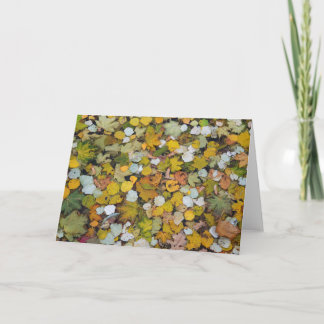 Fallen tree leaves in Latvia. Card