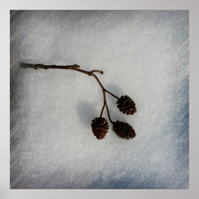 fallen twig poster (Front)