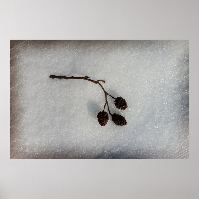 fallen twig poster (Front)