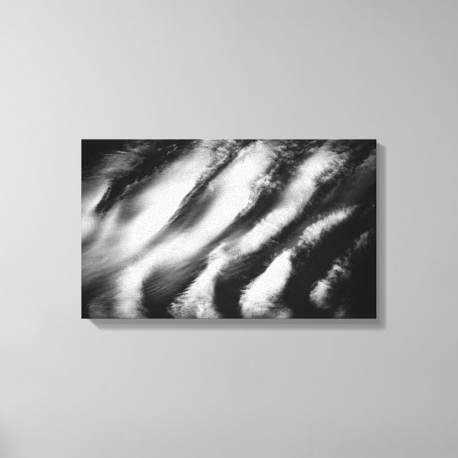 fallen vultures canvas print (Front)