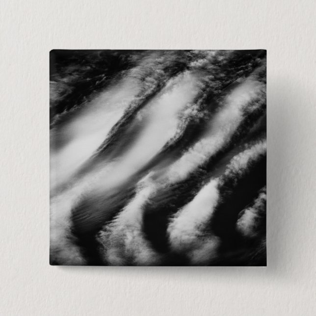 fallen vultures pinback button (Front)