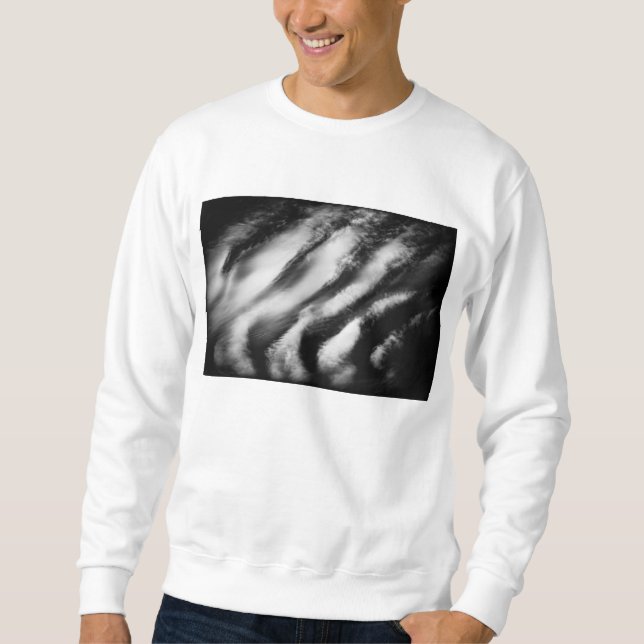 fallen vultures sweatshirt (Front)