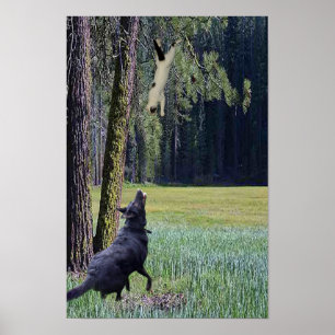 FALLING CAT POSTER