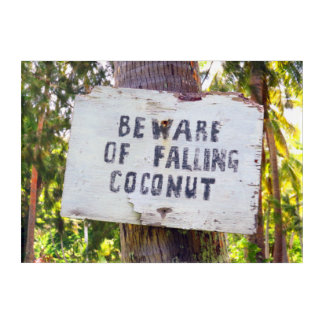 FALLING COCONUTS 10x14 Acrylic Print