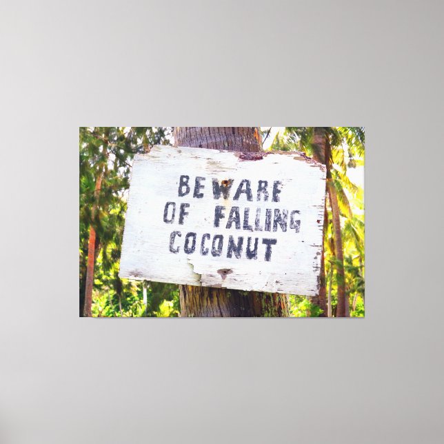 FALLING COCONUTS 40x60 Canvas Print (Front)