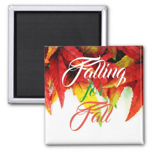 Falling for fall autumn maple leaves red elegant  magnet