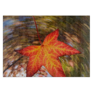 Falling Leaf from a tree in autumn Cutting Board