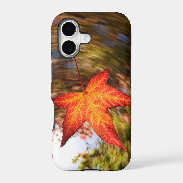 Falling Leaf from a tree in autumn Iphone Case (Back)