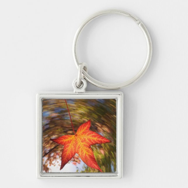 Falling Leaf from a tree in autumn Keychain (Front)