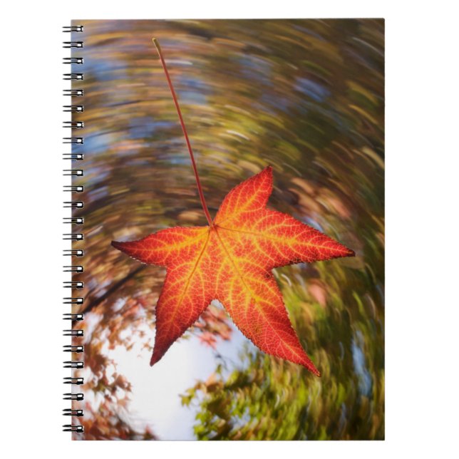 Falling Leaf from a tree in autumn Notebook (Front)