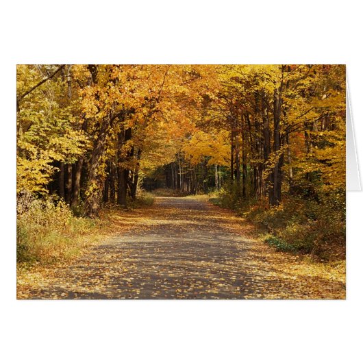 Falling Leaves Cards (Front Horizontal)