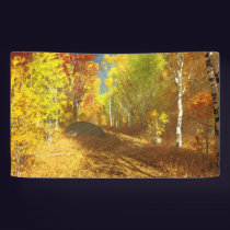 Falling Light Banner
