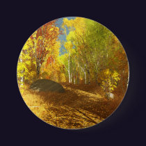 Falling Light Button