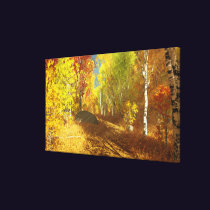 Falling Light Canvas Print