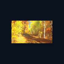 Falling Light Canvas Print