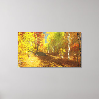 Falling Light Canvas Print