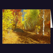 Falling Light Card