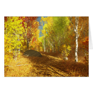 Falling Light Card