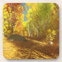 Falling Light Cork Coaster