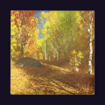 Falling Light Magnet
