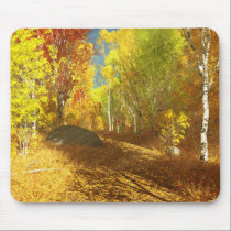 Falling Light Mousepad