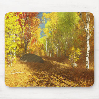 Falling Light Mousepad