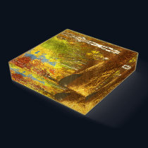 Falling Light Paperweight