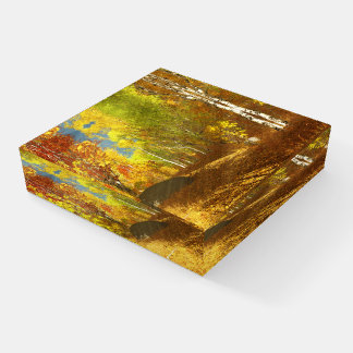 Falling Light Paperweight