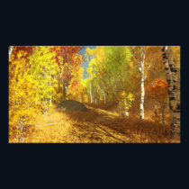 Falling Light Photo Print
