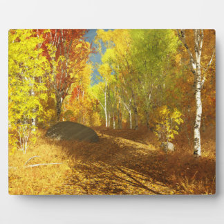 Falling Light Picture Plaque