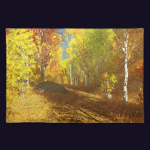 Falling Light Placemat