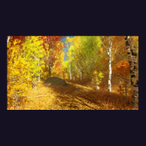 Falling Light Print