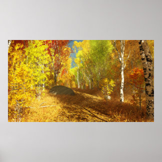 Falling Light Print