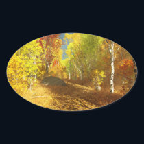 Falling Light Stickers