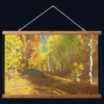 Falling Light Tapestry