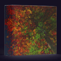 Falling Rainbow Binder